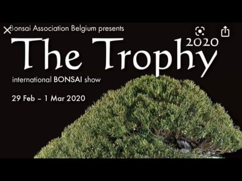 The Trophy 2020   International Bonsai Show GENK BELGIUM #1