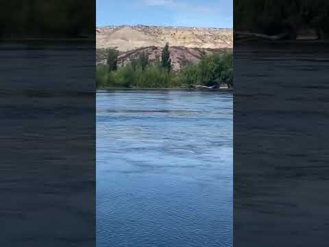 El rio Negro en Allen. Nace en Nqn. de la confluencia de los ríos Limay y Neuquén.