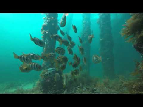 rapid bay 06.03.2016