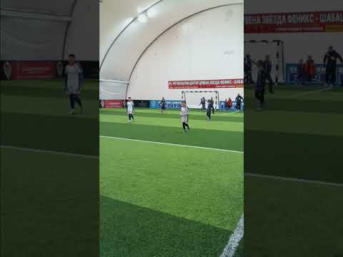 Video-Miniaturansicht