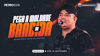 TARCÍSIO DO ACORDEON - PEGA A MALDADE DA BANDIDA [REPERTÓRIO NOVO]