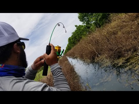 Ultra CLEAR DITCH Fishing for Pet Fish UNDERWATER FOOTAGE | Monster Mike