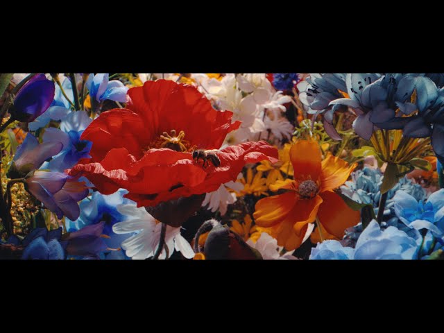 Alles War Schön Und Nichts Tat Weh von Casper ((jetzt ansehen))