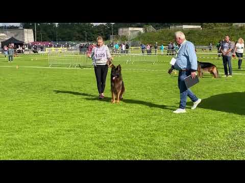 Mongrif legacy BSZS 2022