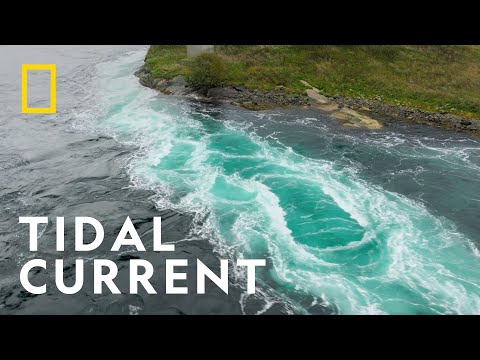 Saltstraumen, the World's Strongest Tidal Current | Europe From Above | National Geographic UK