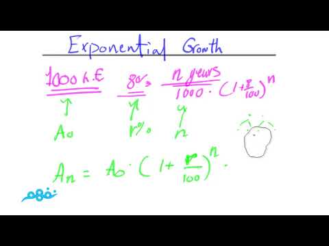 The Exponential Function - الرياضيات لغات - للصف الثاني الثانوي - نفهم