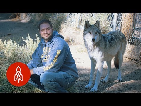 狼と暮らすことが私の人生を救った