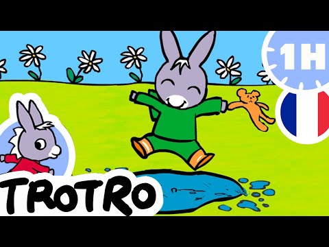 1 HEURE DE TROTRO ! ☺️ Trotro adore jouer ! ☺️