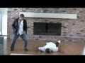 Shaolin Monk Shifu Wang Bo Self Defense