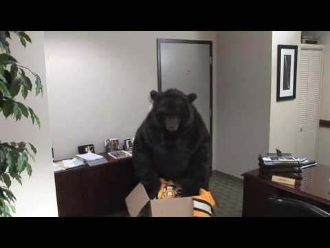 Bruins Hockey Rules - Winter Classic Jersey