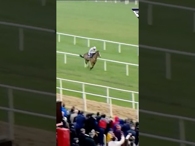 Thumbnail for Post ID: hZGpJOWetqY