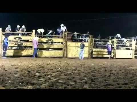 Valdenir da Silva Ferreira