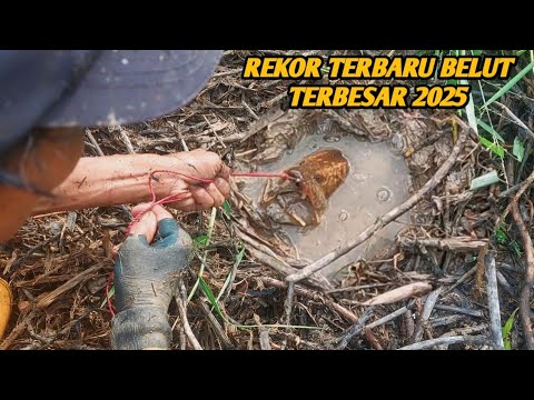 REKOR PERTAMA MANCING BELUT MONSTER TAHUN 2025