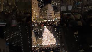 NYC Cruise Stop: Avoid This Tourist Trap!