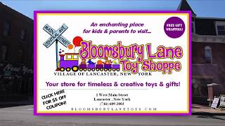 DISC 105 - "Bloomsbury Lane Toy Shoppe", Lancaster, NY
