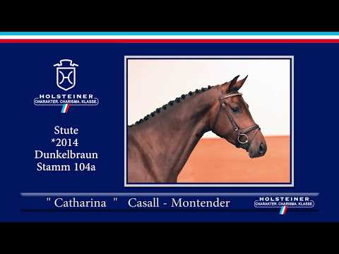 104 | Catharina v. Casall - Montender