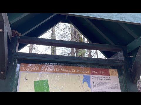 Evelyn H & Albert D Morse Sr Preserve (Pine Mt.) Alton NH