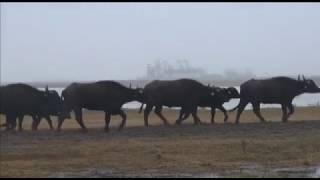 HÍREK A TERMÉSZETBŐL