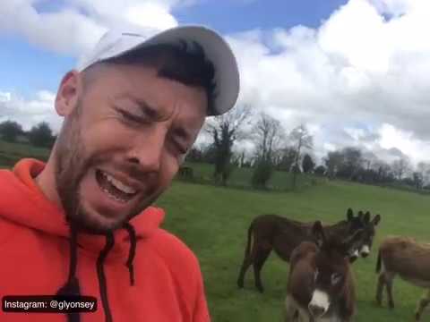 MC Daycent - Somebody To Bonk (Cover of Lewis Capaldi - Someone You Loved)