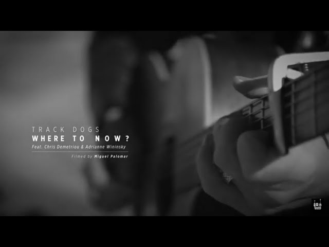  Where to Now? - Track Dogs