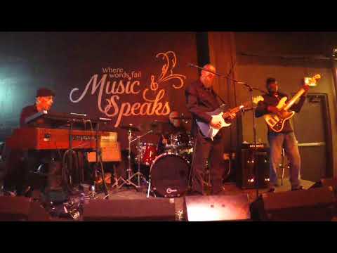 Bottleneck Blues Band performs at Vinyl Tap