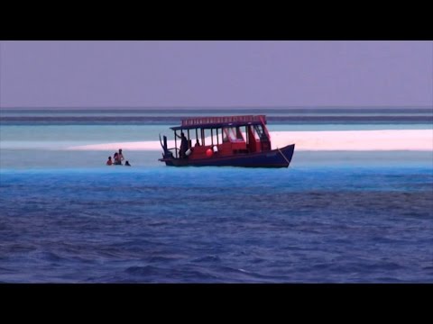 Maldive Suvadiva sharks and eagles over the best coral architecture