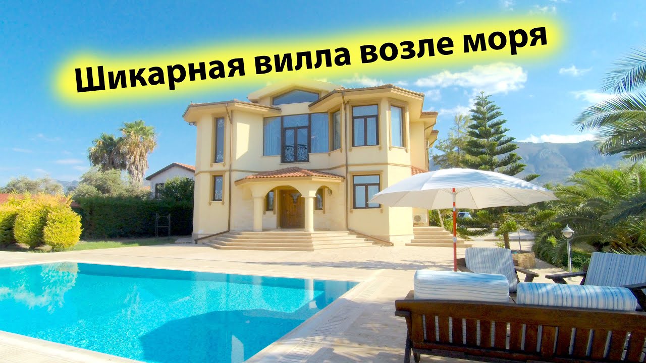 video image