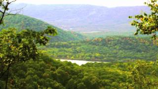 25 PROPERTIES FEATURING TIMBER & MARCELLUS GAS LAND AUCTION