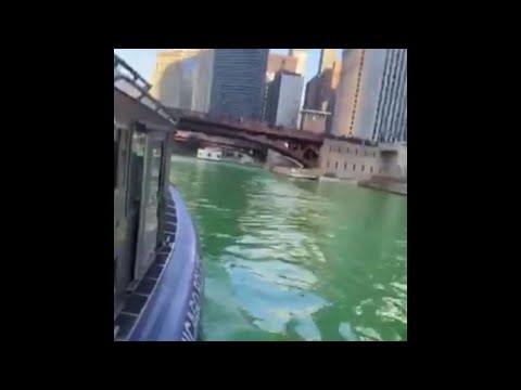 St.Patrick's Day: Chicago River wird grün
