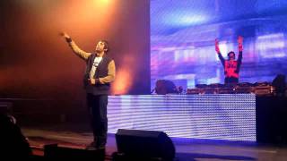 Example vs Laidback Luke - Natural Disaster Live creamfields 2011