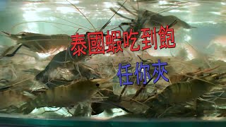吃貨 | 泰國流水蝦 | 吃到飽