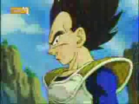 Majin Vegeta Tribute
