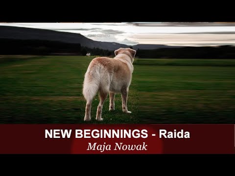 RAIDA - New Beginnings - von Maja Nowak
