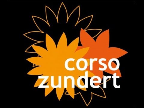 Corso Zundert 2016