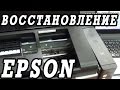 Что делать, если не печатает принтер Epson L800. Щадящее восстановление за 4 ...