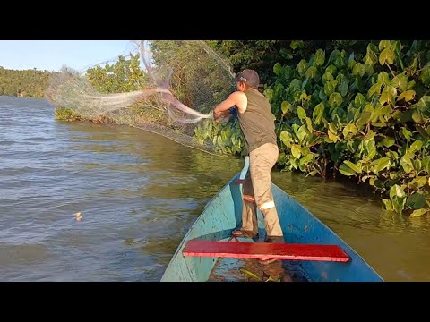 PESCARIA DE TARRAFA EM UMA LAGOA..... JEQUIA DA PRAIA. 