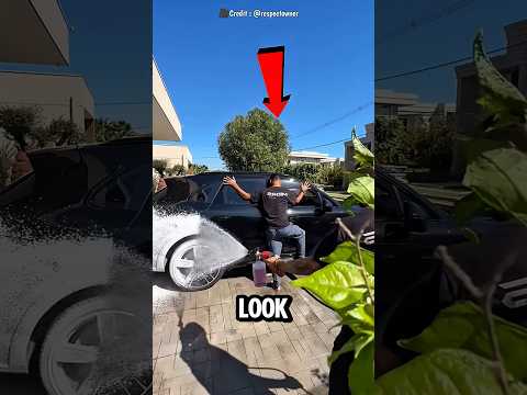 Would You Try This Car Wash Experiment? 🚗 #shorts #cute #vitalshorts #trends #catcartoon #tiktok