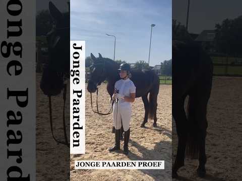 , title : 'De 4 jarige Juno bij de jonge paarden proef van de Trakehners. #lovemysubscribers #trakehner #horse'