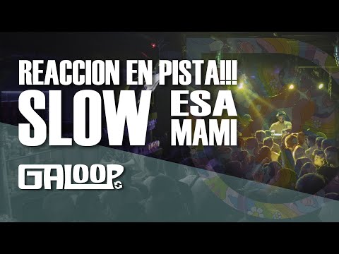 Reacción de Slow ''Esa Mami'' en pista + Cierre de SET (Tech House)