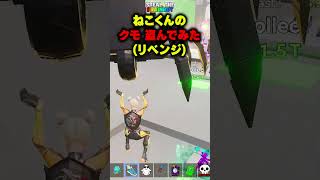 ねこくんのクモ盗んでみた！！(リベンジ編)【フォートナイト/Fortnite】 #ブレインロット #brainrot #stealthebrainrot