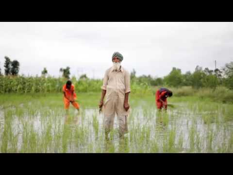 Manu Chao  - Seeds of Freedom [Giddyhead feat  Nicolas Hulot] Unofficial