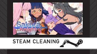 Steam Cleaning - Sakura Knight 3