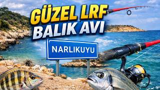 Mersin Narlıkuyu | Hanfish Zıpır ile Güzel Koylarda Lrf Avı | #fishing #fish