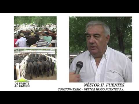 NOTA NESTOR FUENTES 16 FEBRERO