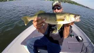 21" WALLEYE - Minnetonka Lake