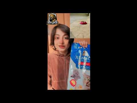 🌟 Special Thanks to Wajdan Rao for Loving Roawer! 🐾💖