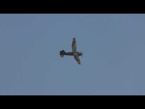 Duxford Battle of Britain Air show Lysander pair display  21sep19 322p