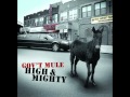Gov`t mule   Mr high and mighty