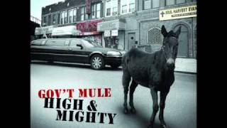 Gov`t mule   Mr high and mighty