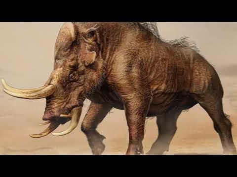 Greek Mythology: 12 Labors of Heracles